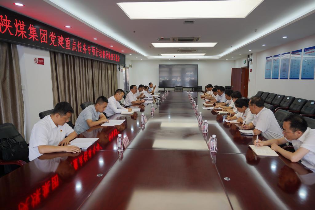 集团督导组对公司党建重点任务专项行动工作进行督导检查
